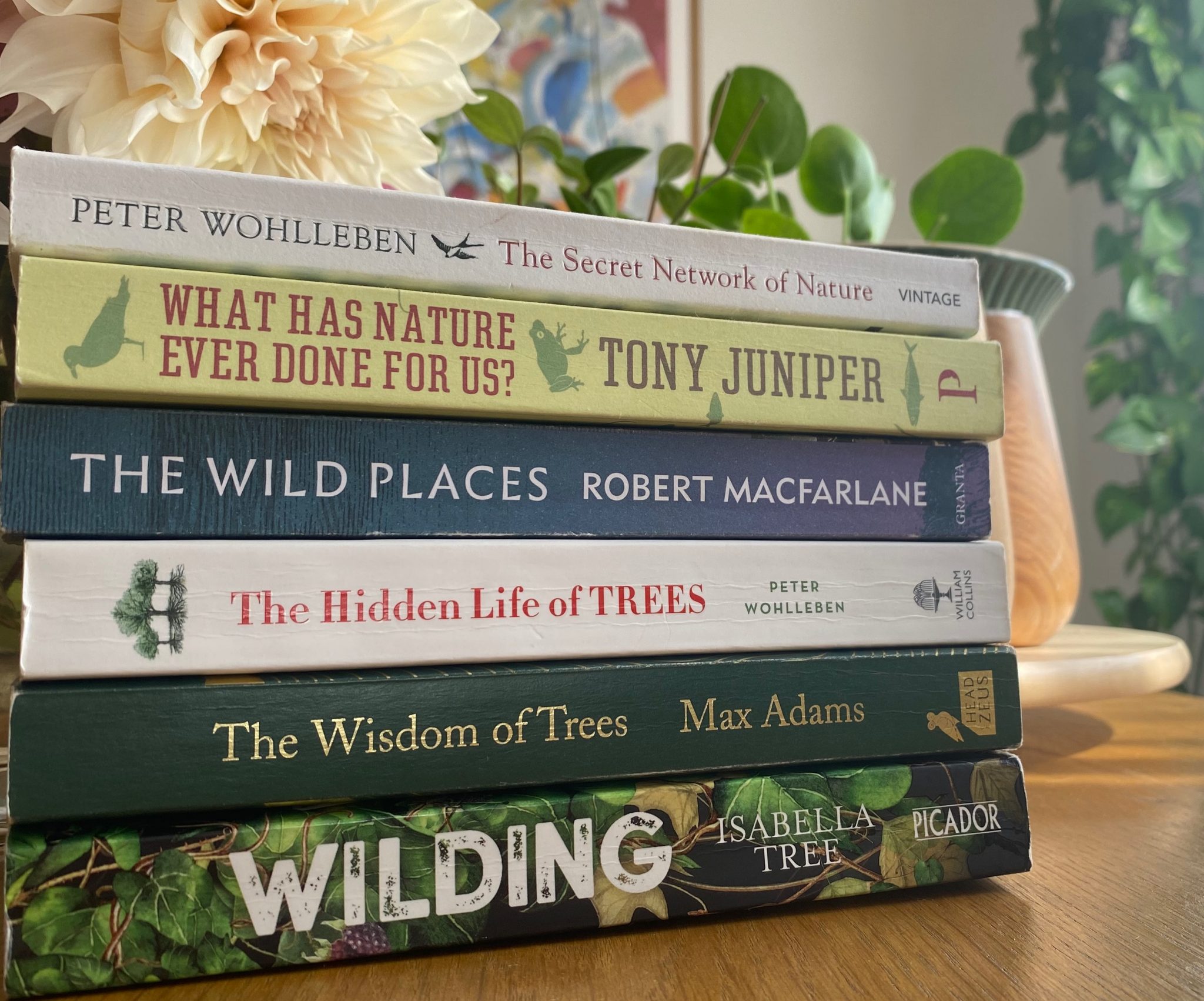 rewilding book knepp rewilding book knepp