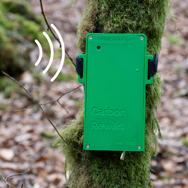 Bioacoustic Technology: Biodiversity Monitoring Made Easy