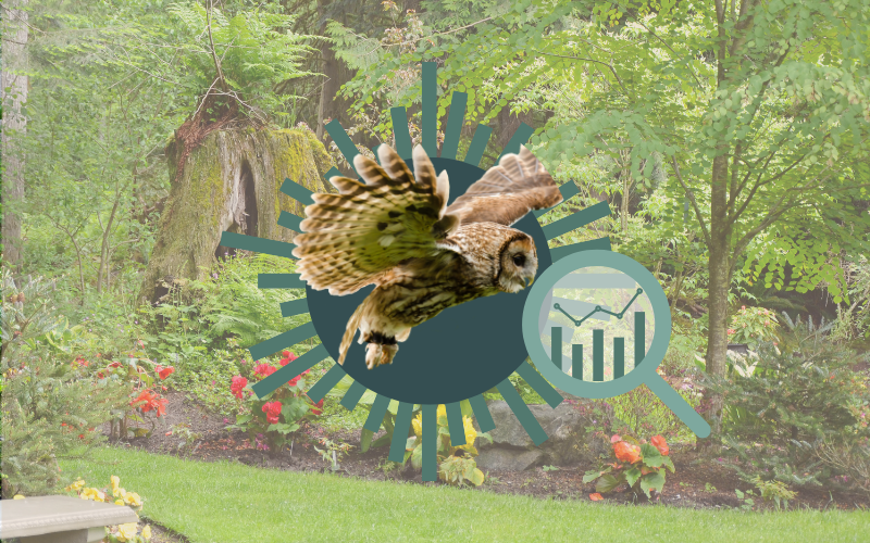 Garden Wildlife Monitoring: Bioacoustic Technology